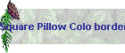 Square Pillow Colo bordersr