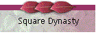 Square Dynasty
