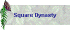 Square Dynasty