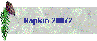 Napkin 20872