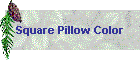 Square Pillow Color