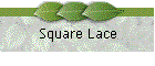 Square Lace