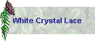 White Crystal Lace
